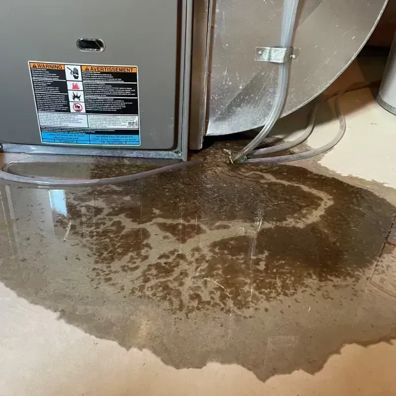 Appliance Leak Cleanup in Howard County, MO